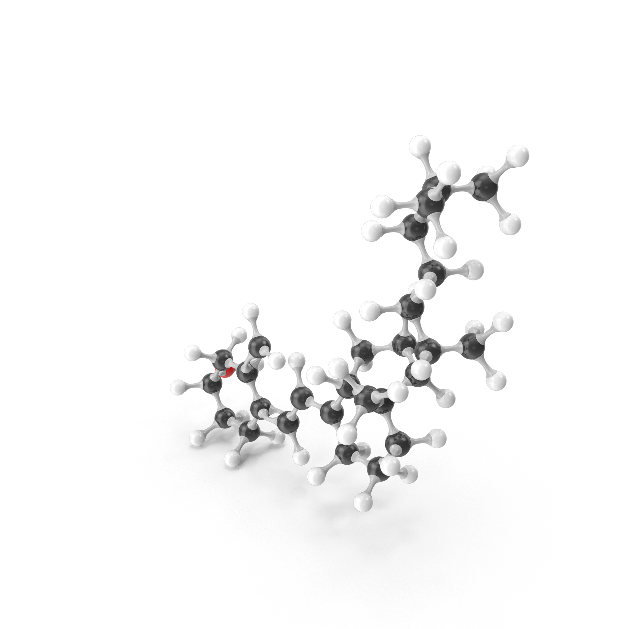 The importance of Vitamin D